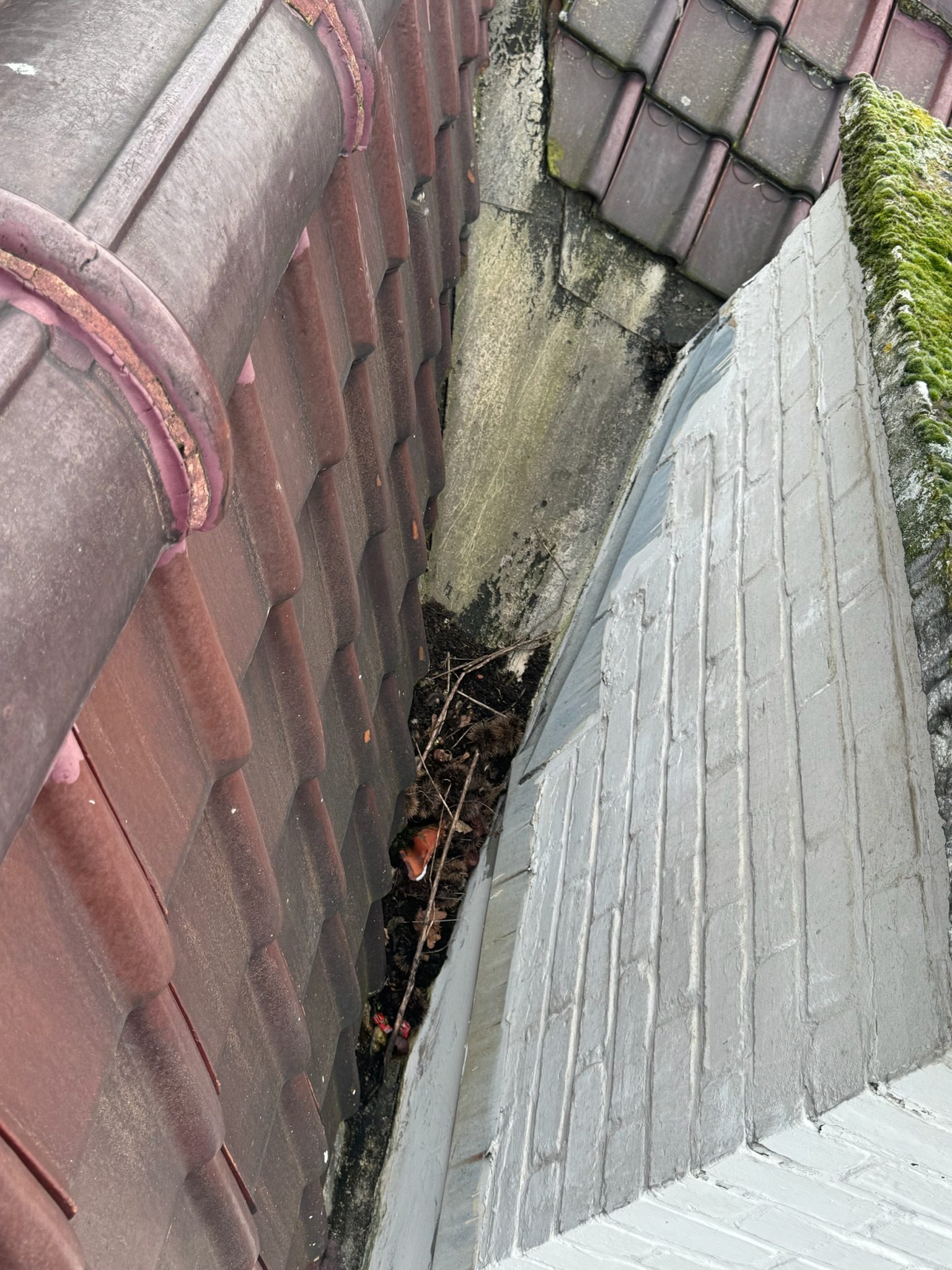 Chantier de toiture mené par Les Toituriers Belges, photo 17