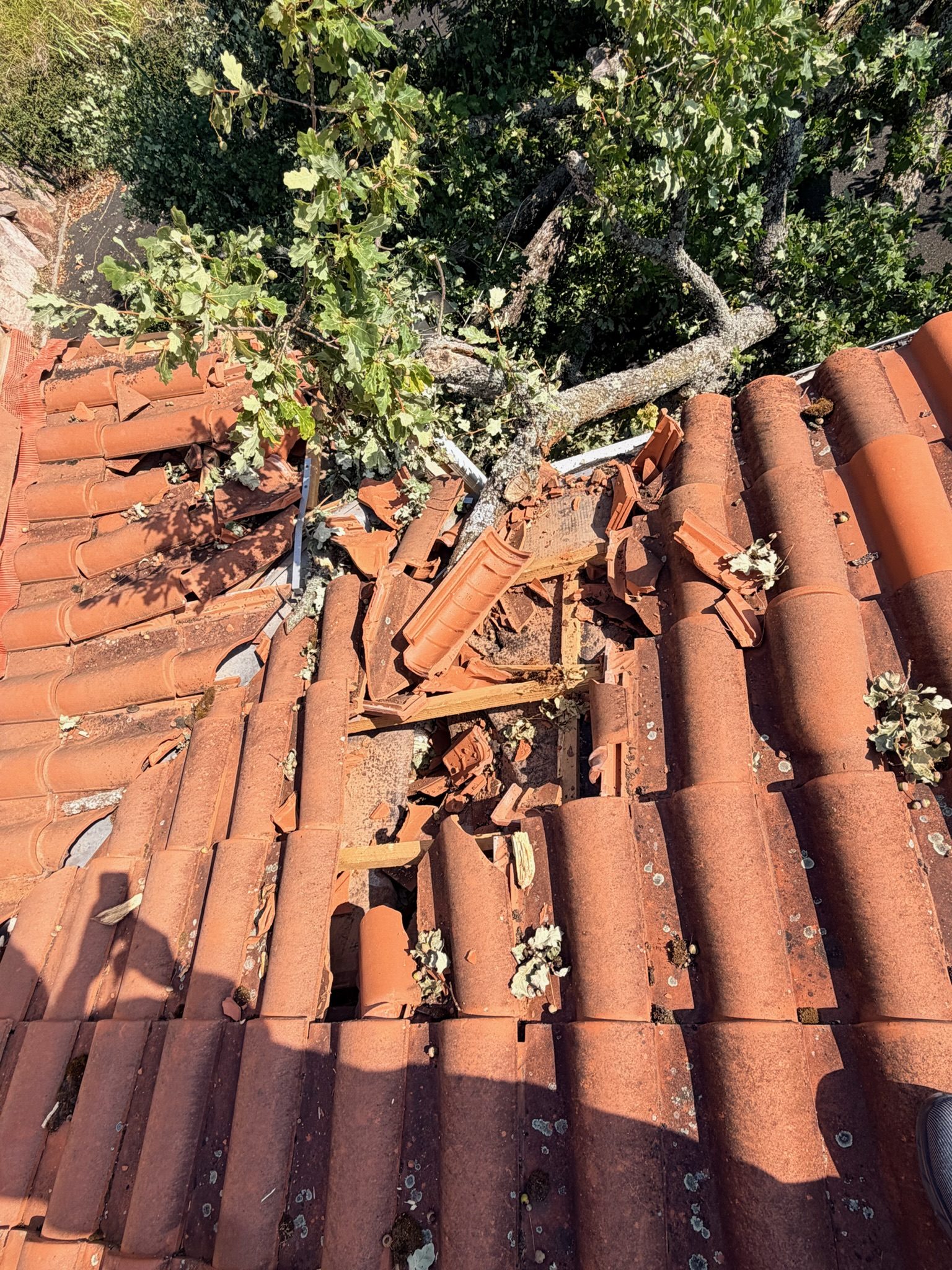 Chantier de toiture mené par Les Toituriers Belges, photo 8